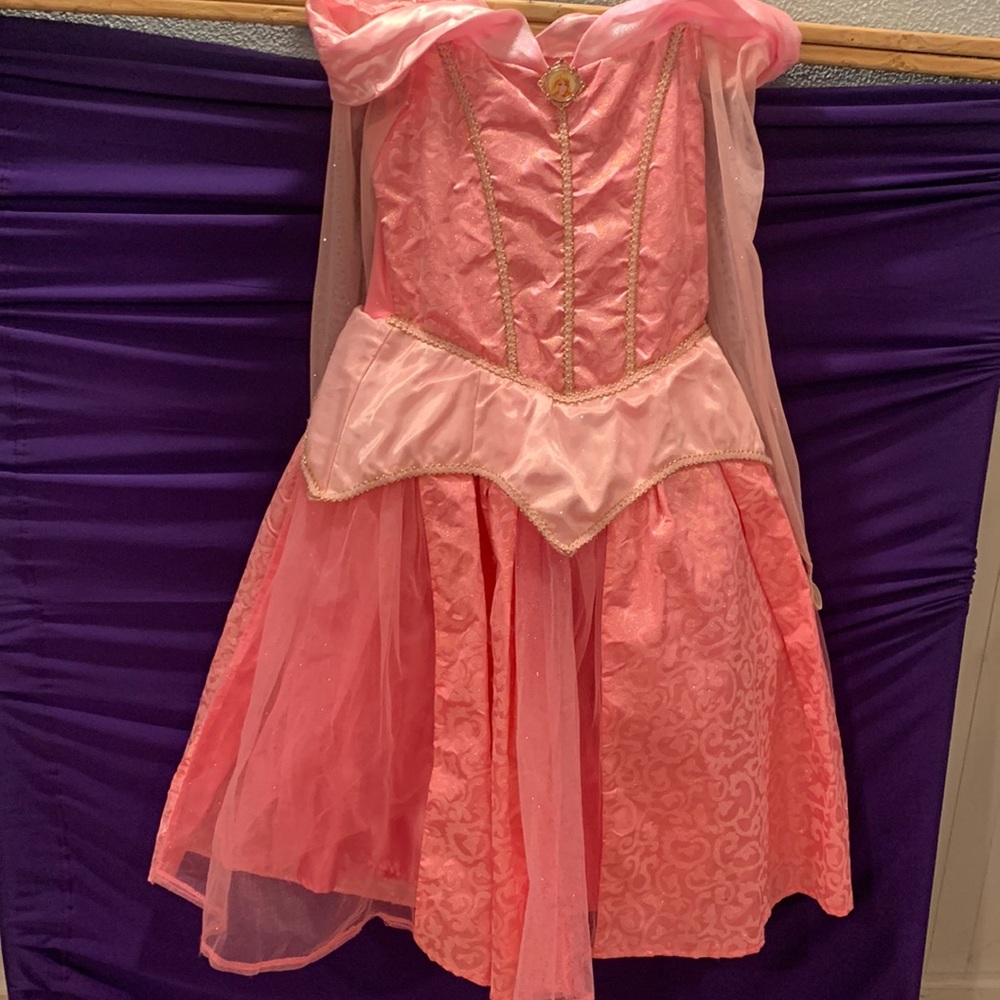 Sleeping Beauty Disney Park Authentic Costume